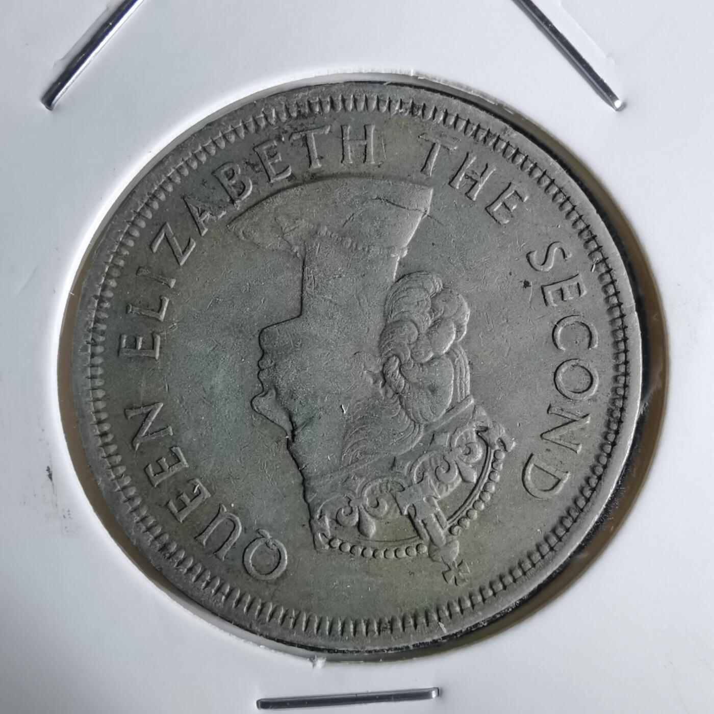 沼泽如烟--第1027场