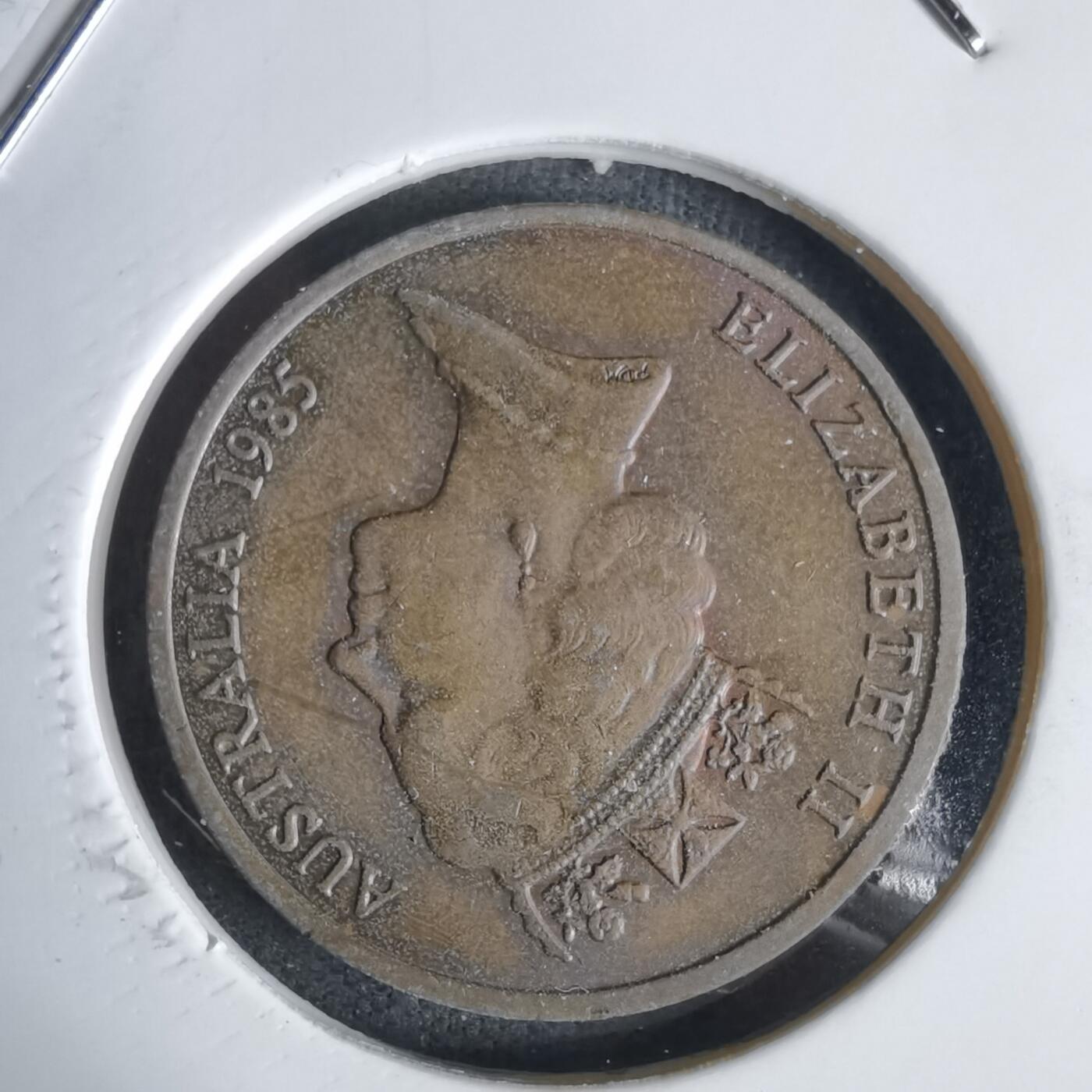 沼泽如烟--第1027场