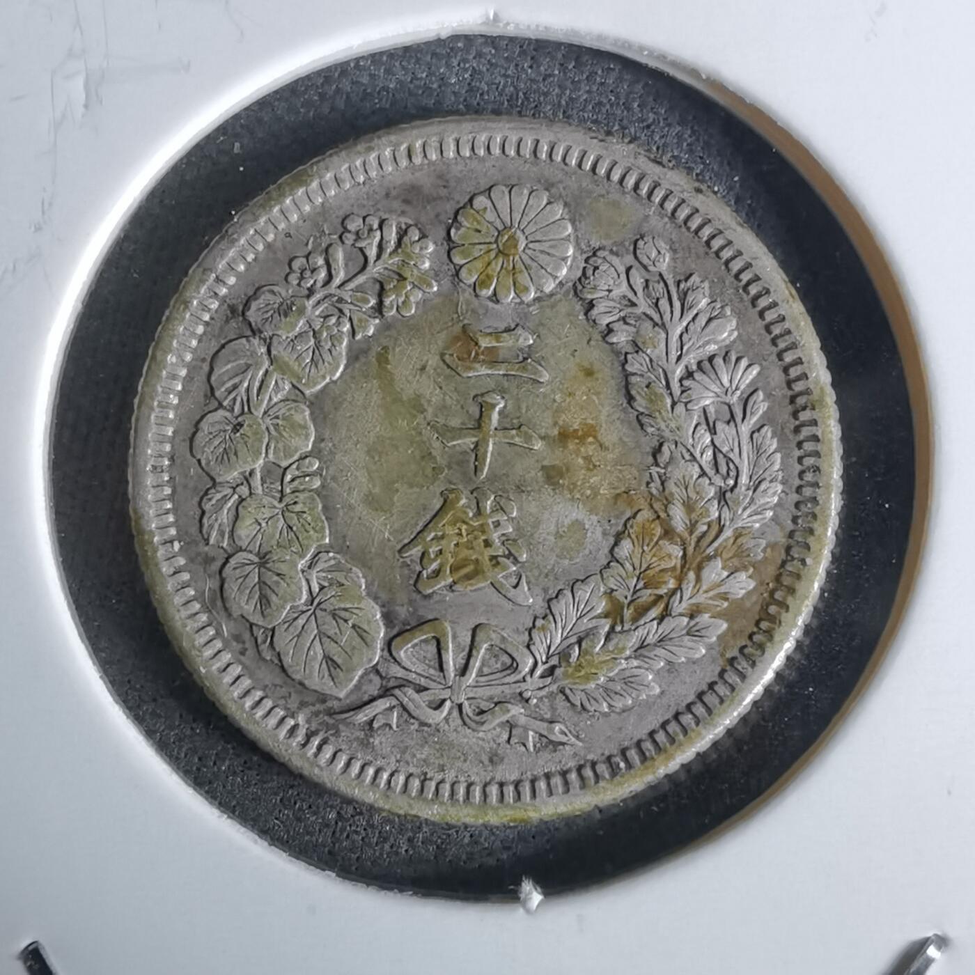 沼泽如烟--第1027场