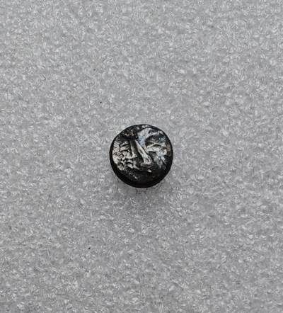 瓶子🏺第233期拍卖会 - 古希腊卡利亚地区哈利卡纳苏斯城海怪刻托斯银币 公元前500-前495年卡利亚地区首府哈利卡纳苏斯城发行 正面是龙形海怪刻托斯的头像 背面是网格形花饰中的大芒星 哈利卡纳苏斯，卡利亚地区首府，今天的土耳其博德鲁姆，古代世界七大奇迹之一的摩索拉斯王陵所在地