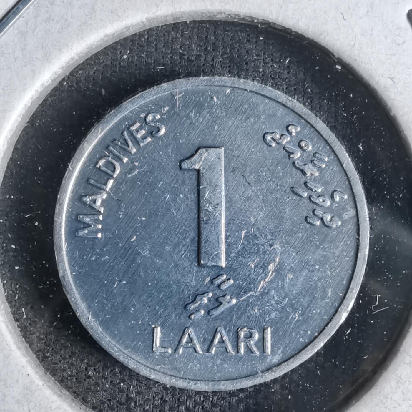 沼泽如烟--第1027场