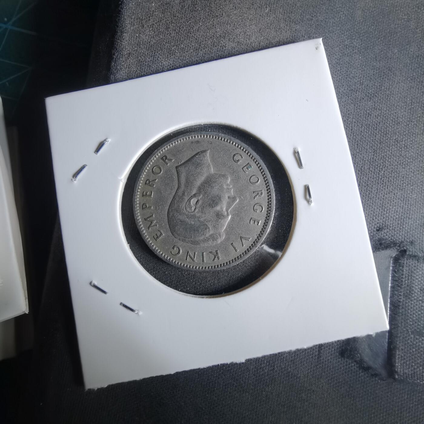 沼泽如烟--第1027场