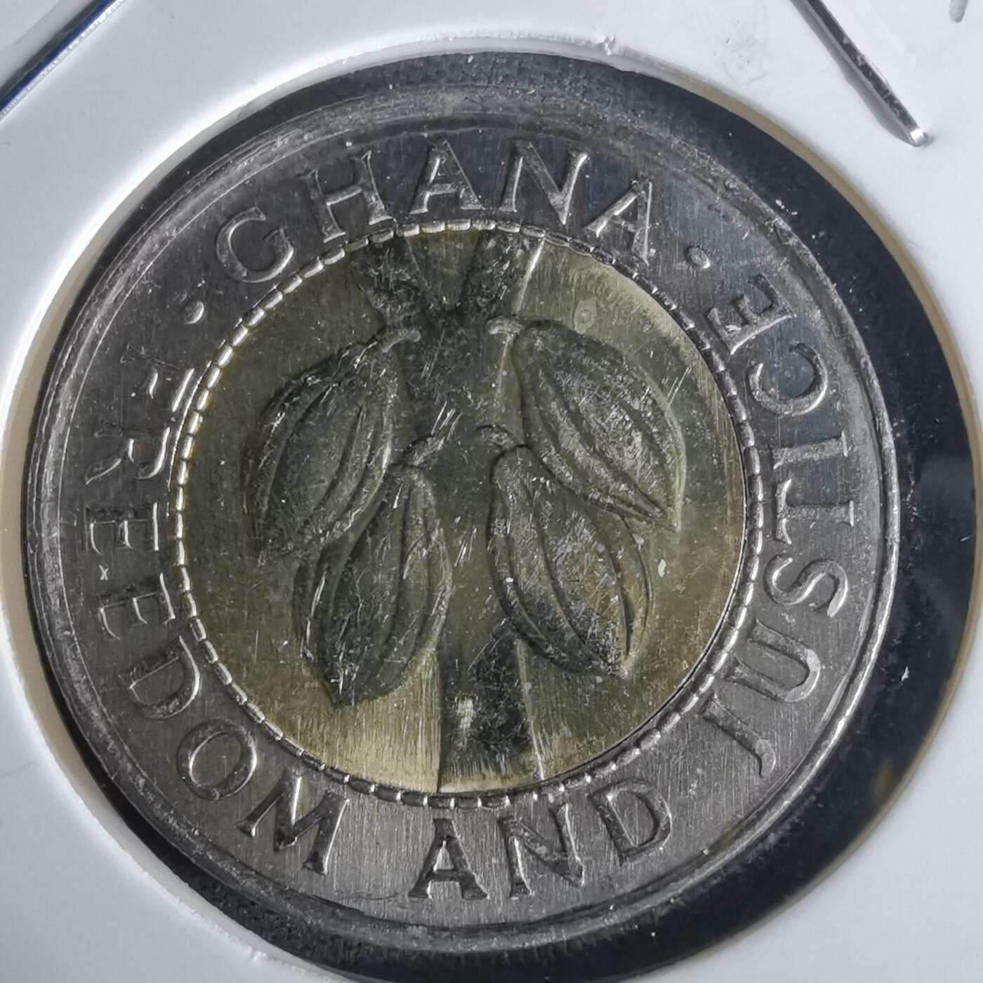 沼泽如烟--第1027场