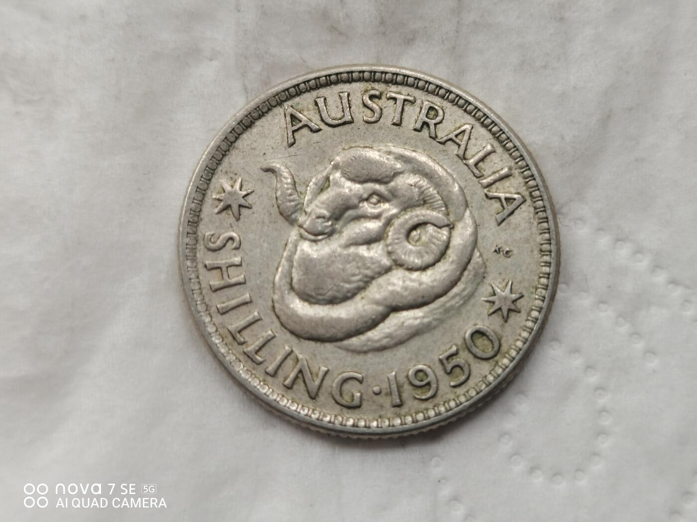 银币 1950年澳大利亚绵羊头1先令银币