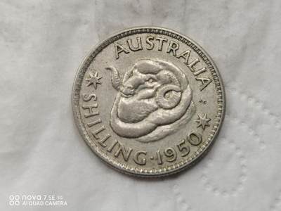 银币 - 1950年澳大利亚绵羊头1先令银币