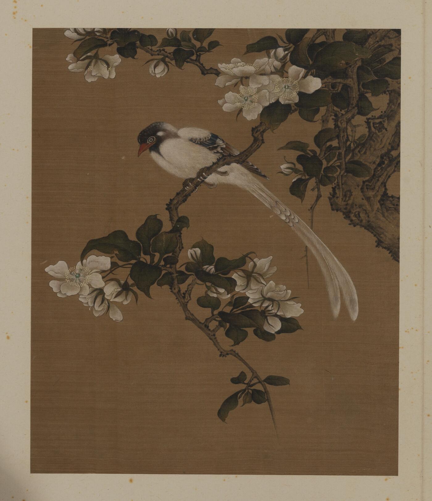 近现代书画专场（五） 佚名 花鸟册