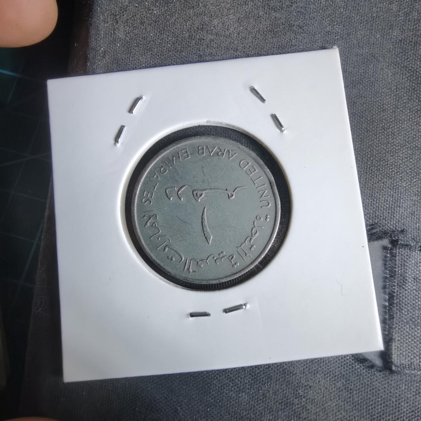 沼泽如烟--第1027场