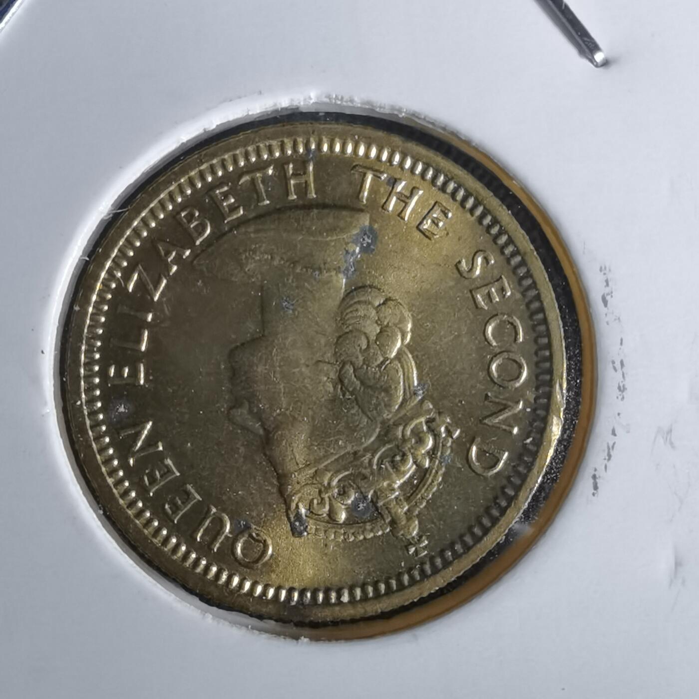 沼泽如烟--第1027场