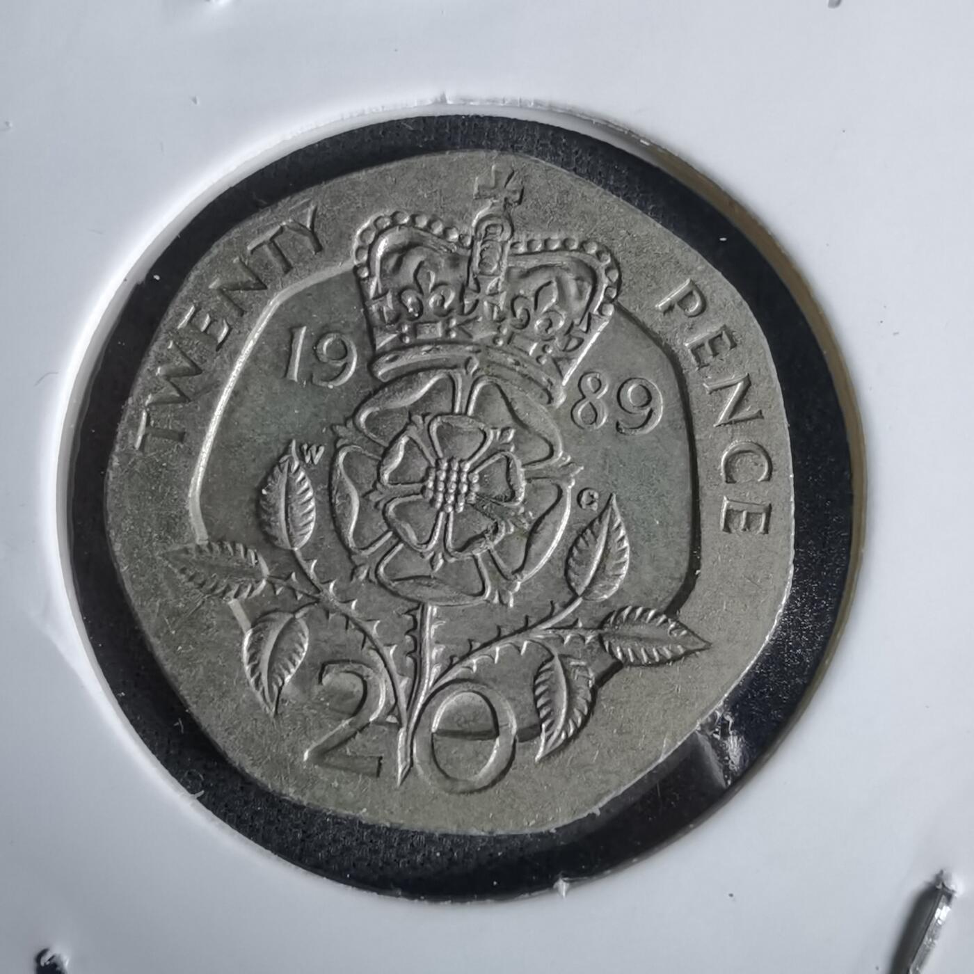 沼泽如烟--第1027场