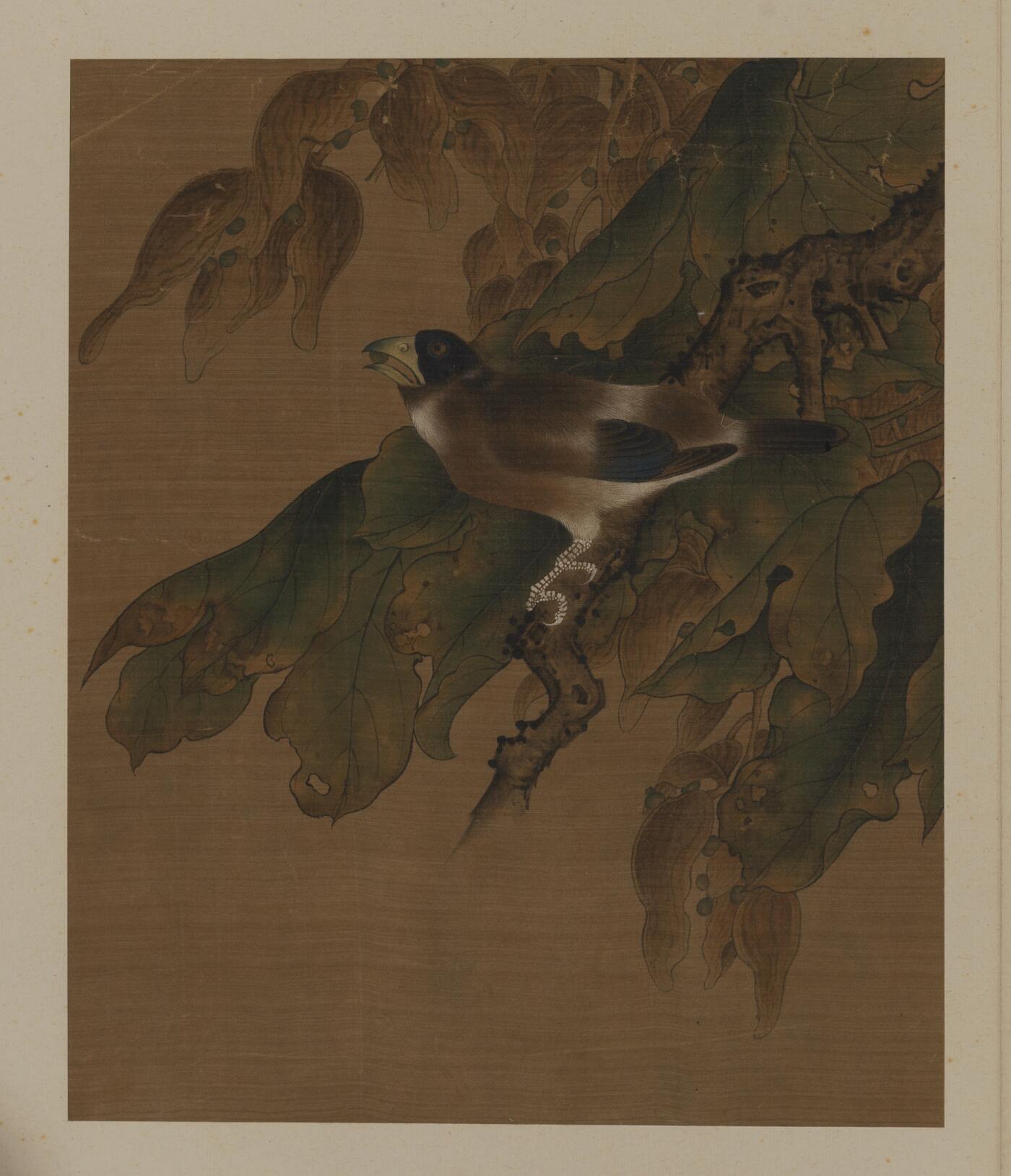 近现代书画专场（五） 佚名 花鸟册