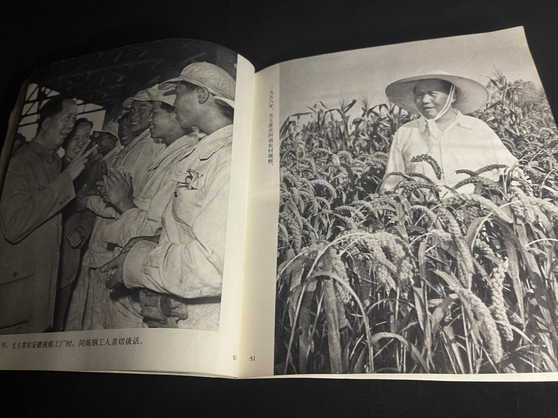 红藏专场 图册一本