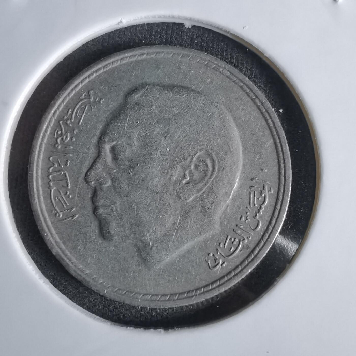 沼泽如烟--第1027场