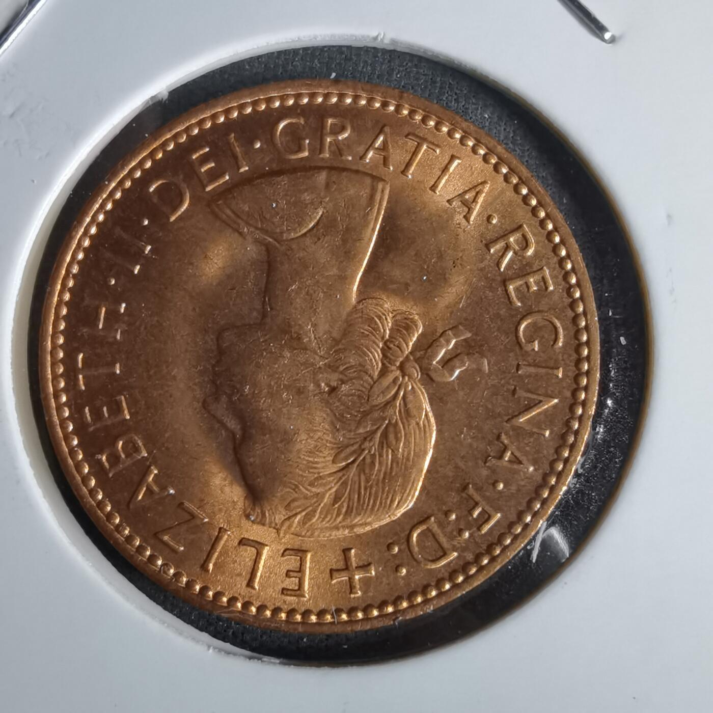 沼泽如烟--第1027场