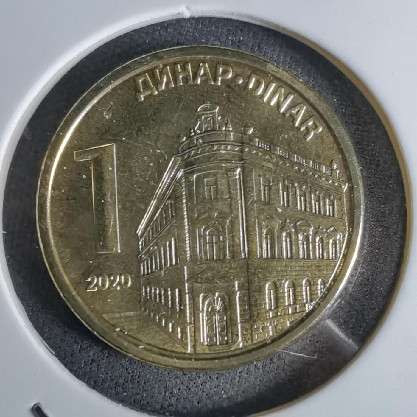 沼泽如烟--第1027场