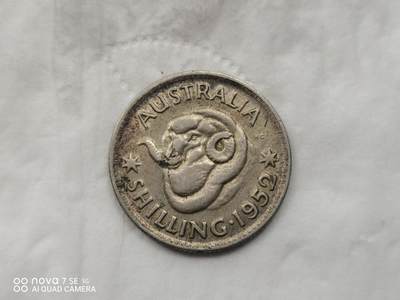 银币 - 1952年澳大利亚绵羊1先令银币