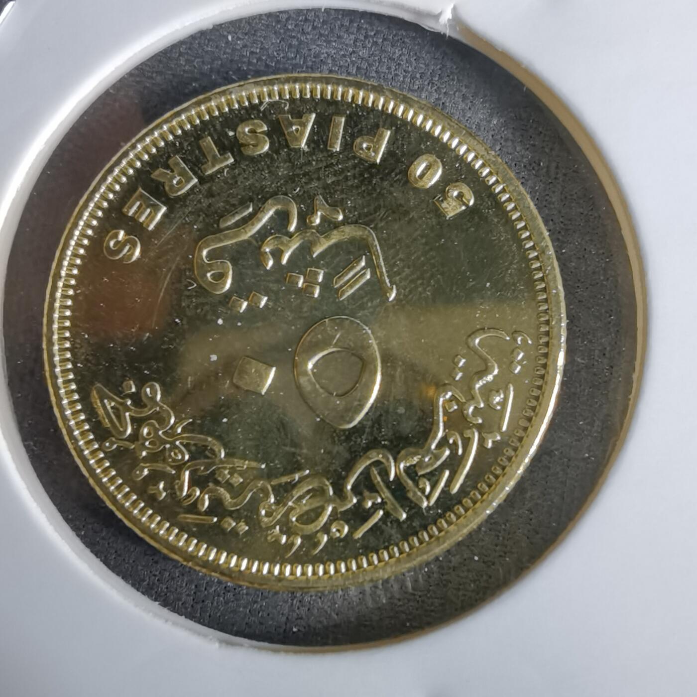 沼泽如烟--第1027场