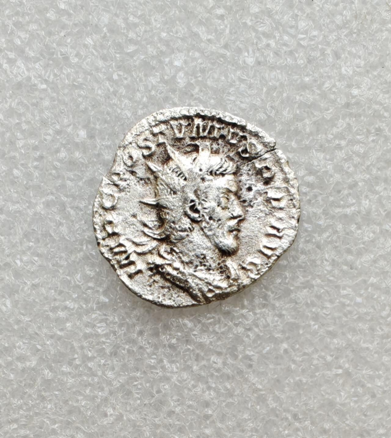 瓶子🏺第233期拍卖会