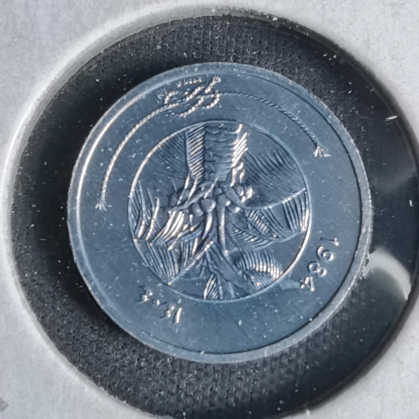 沼泽如烟--第1027场