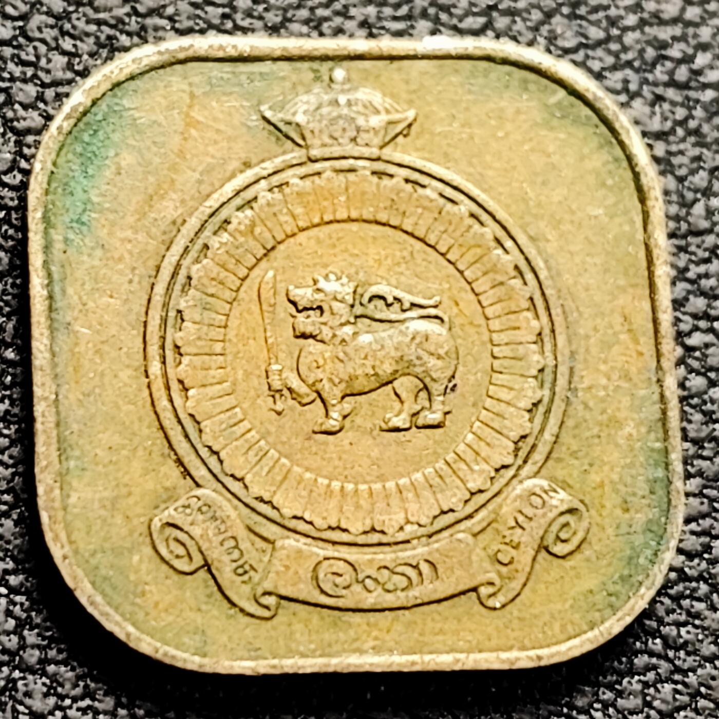 泉币菌-第214场-拍品多 请提前出价（工作最近较忙 发货不及时，望理解） 。