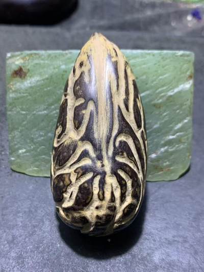 精美千眼菩提黑果把件一个， - 精美千眼菩提黑果把件一个，