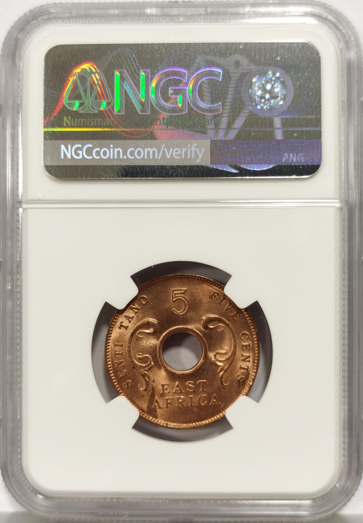 博洋堂世界钱币拍卖第165期（全场包邮） NGC MS64RD 东非1964年5分铜币