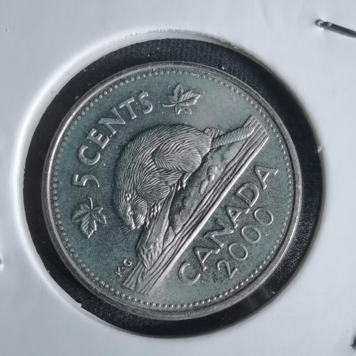 沼泽如烟--第1027场