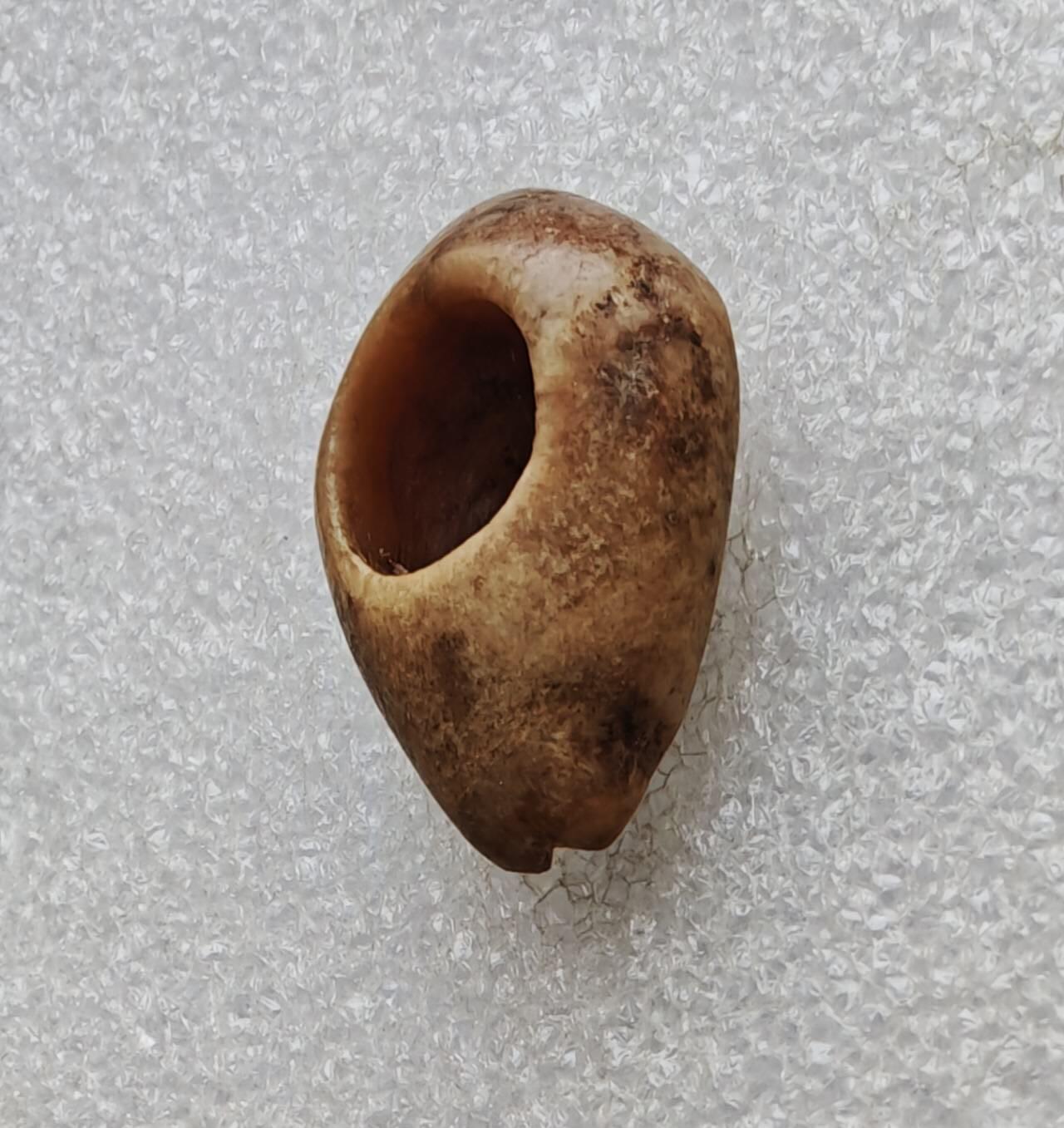 瓶子🏺第233期拍卖会