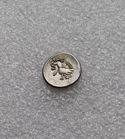 瓶子🏺第233期拍卖会 - 19世纪中叶柬埔寨诺罗敦一世时期的手工打制银币，俗称“红鸟币”或“鸡仔钱”，是海上丝绸之路中柬贸易的重要实物见证 一只跨步小鸟（神鸟/红鸟），嘴部叼啄藤蔓或小虫，姿态拙朴生动，是高棉民族图腾“恩杜”的象征，也源自印度神话中的哈姆萨神鸟（Hamsa） 