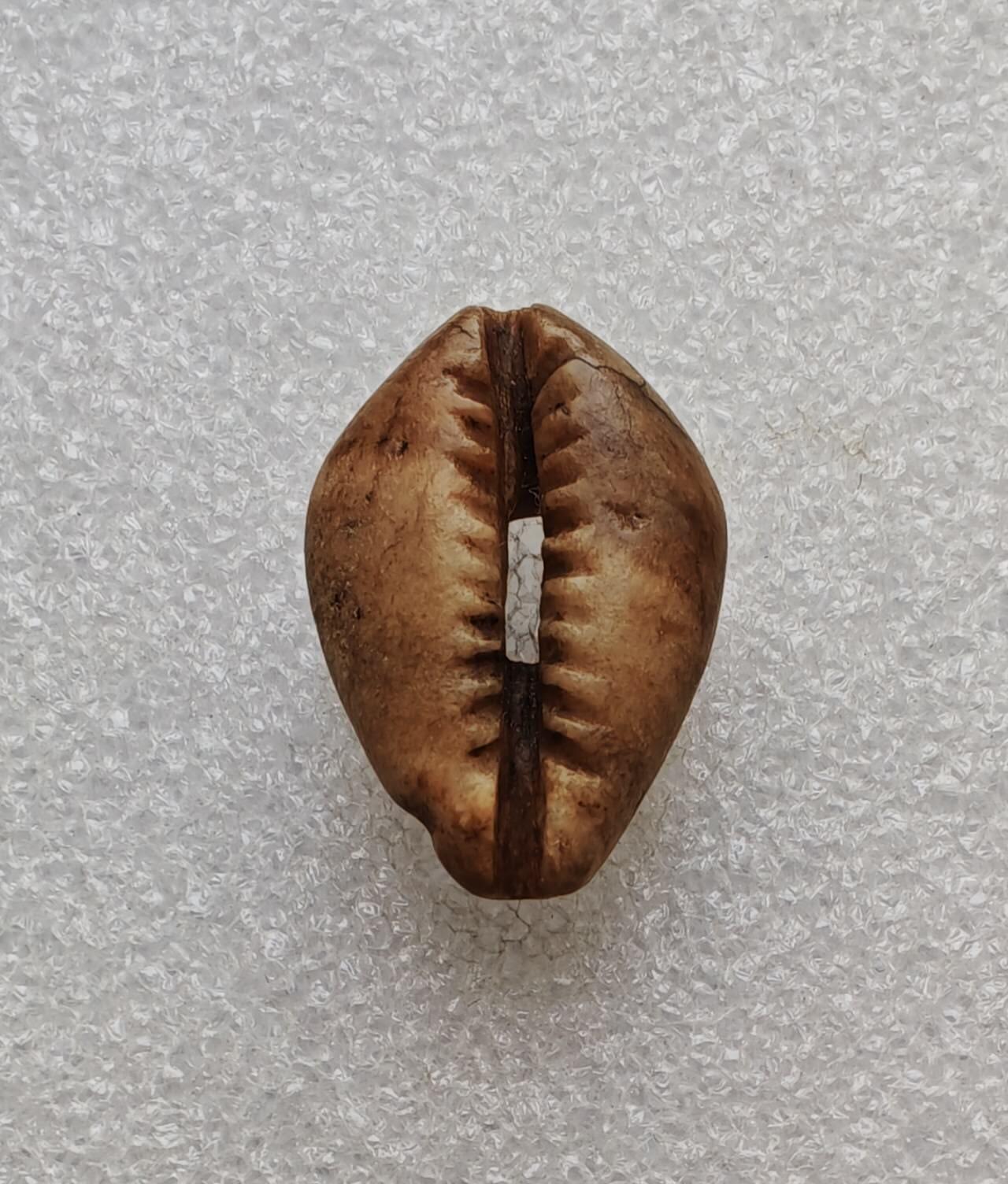 瓶子🏺第233期拍卖会