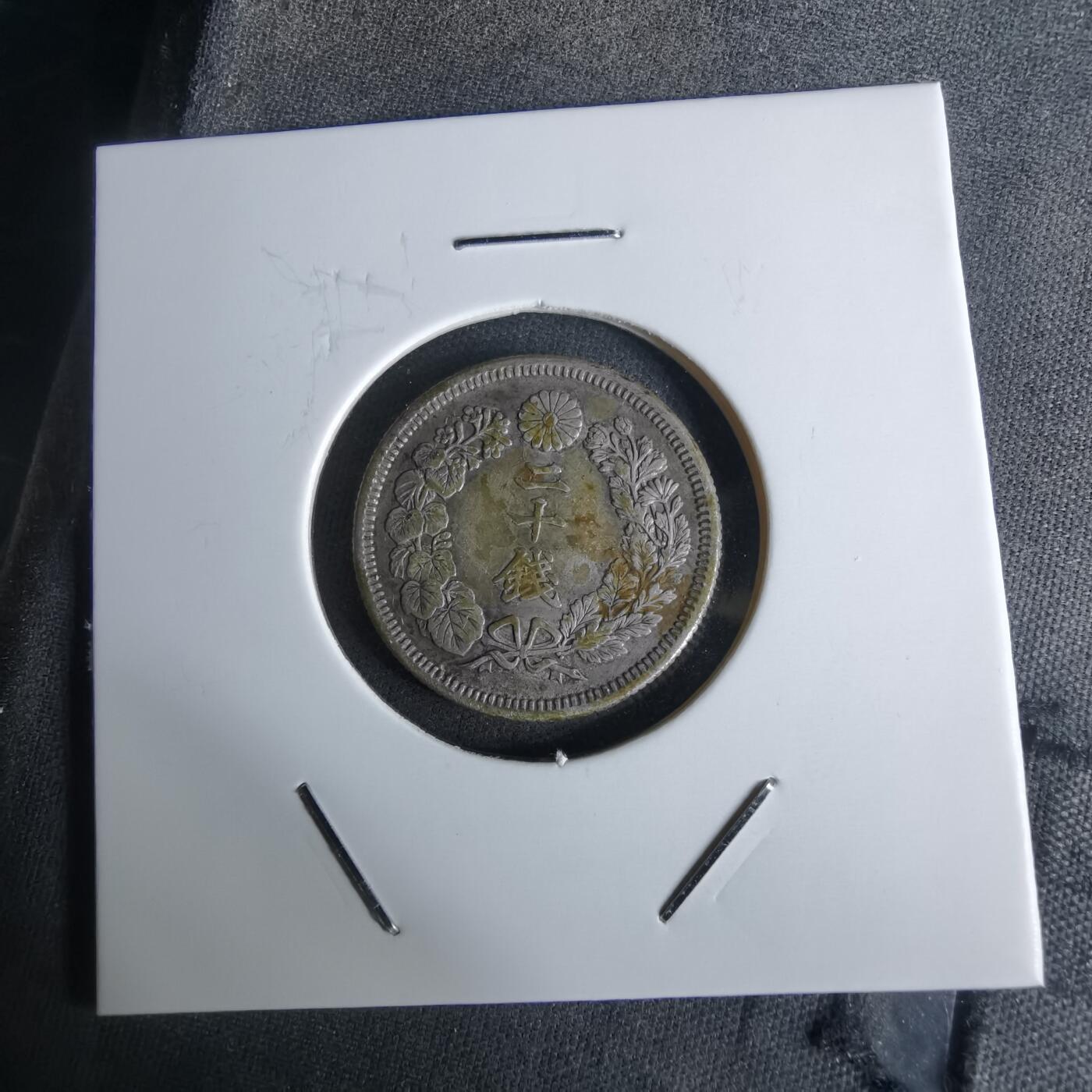 沼泽如烟--第1027场