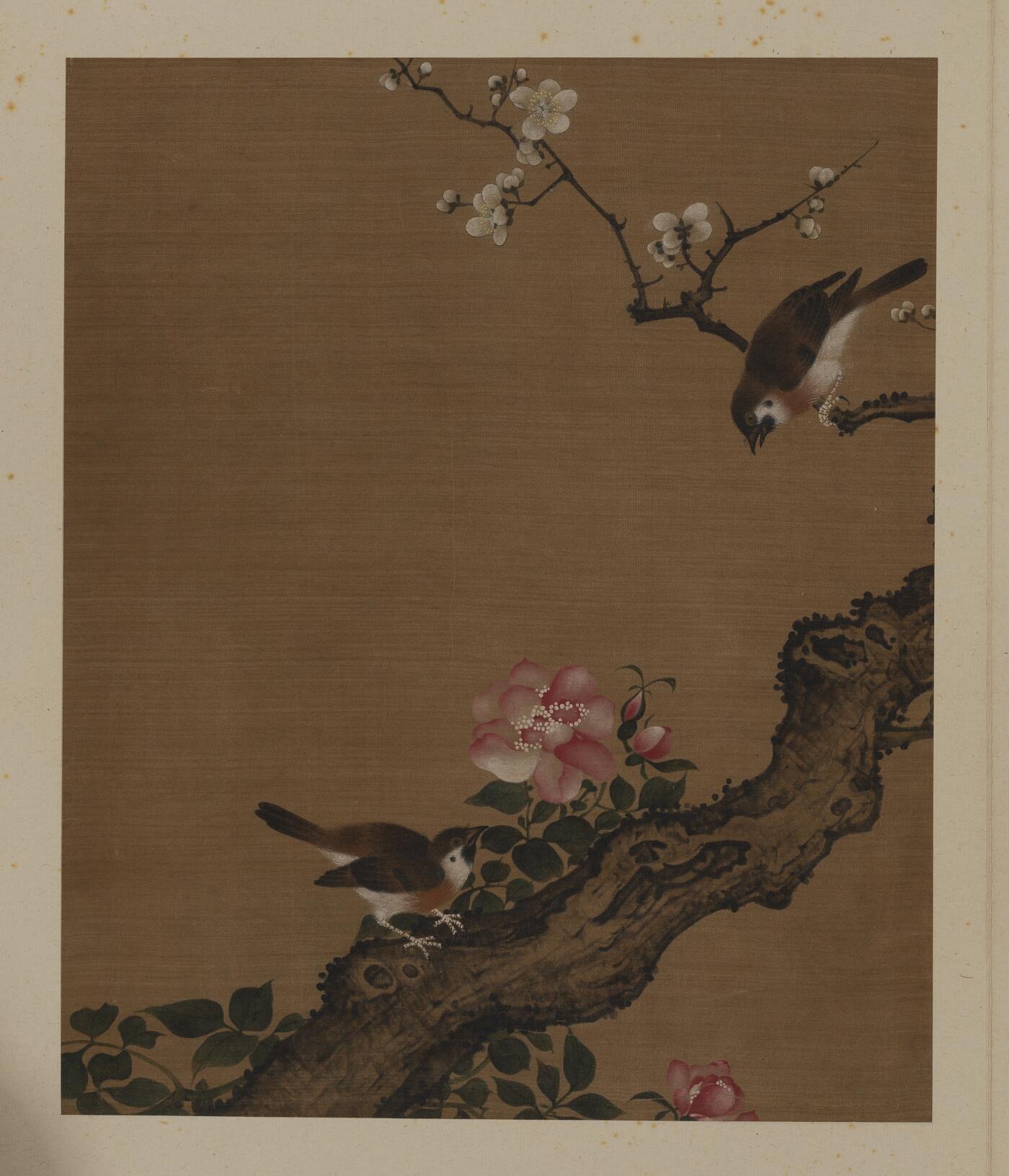 近现代书画专场（五） 佚名 花鸟册