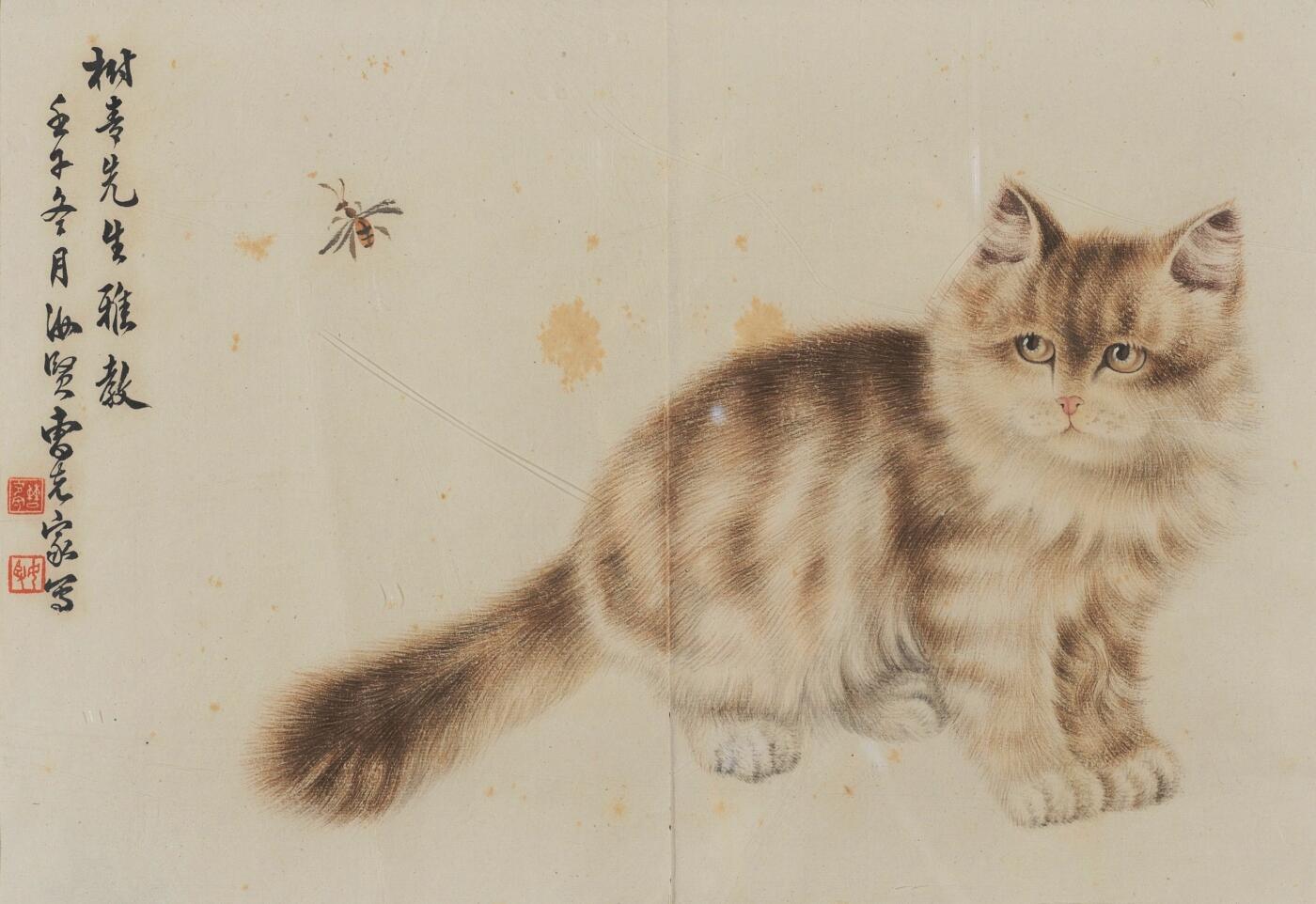 碧月说宝·同一藏家珍藏书画专场 曹克家 猫