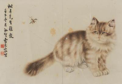 碧月说宝·同一藏家珍藏书画专场 - 曹克家 猫