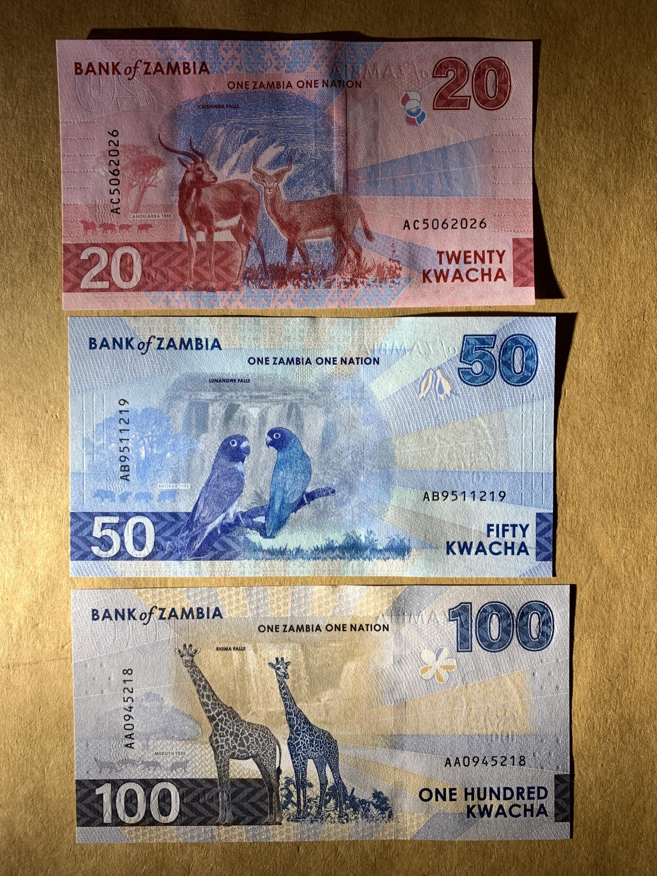 【礼羽收藏】🌏世界钱币拍卖第131期 全新UNC 赞比亚新版3张 含无47号码 100是AA冠