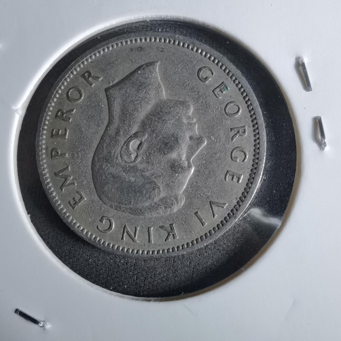 沼泽如烟--第1027场