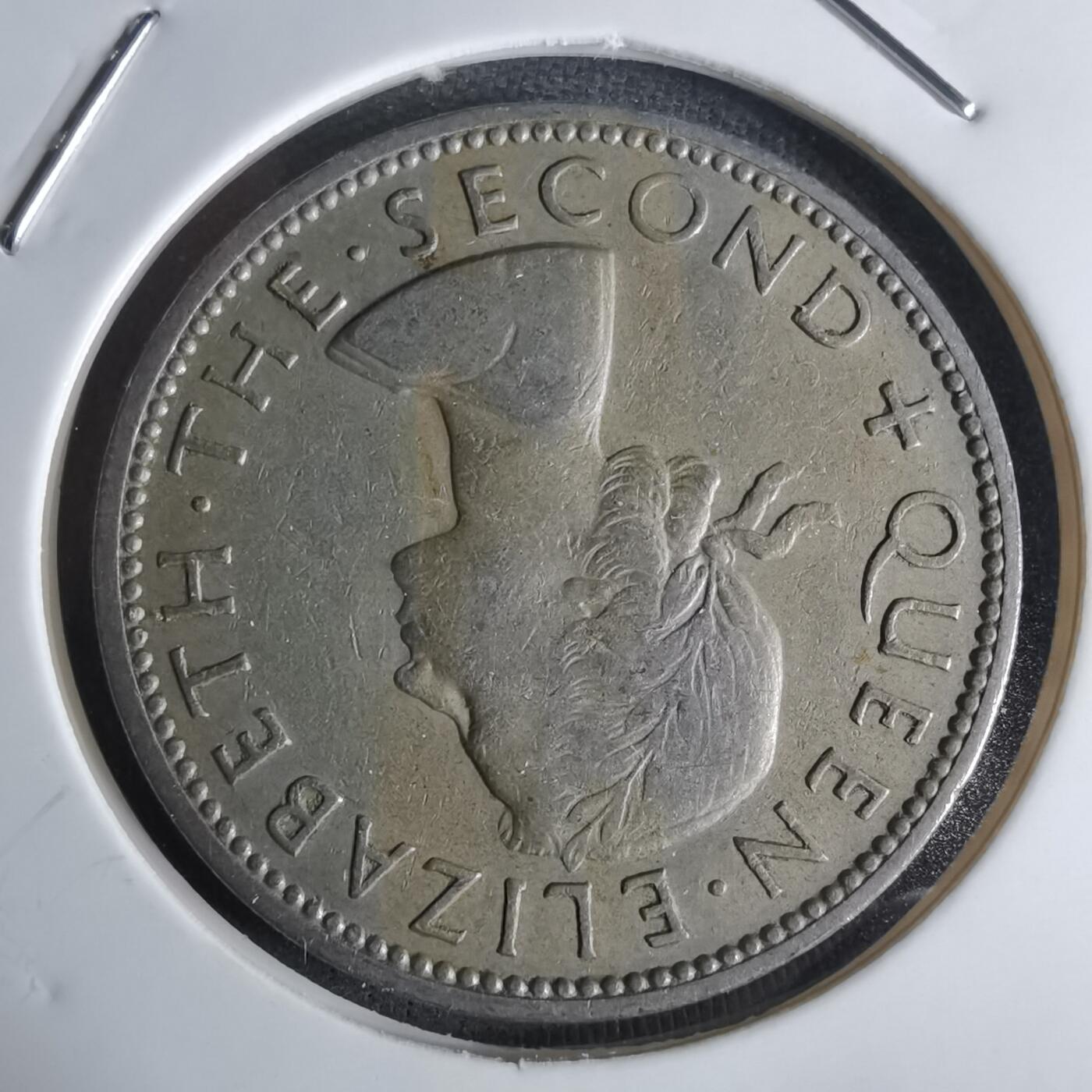 沼泽如烟--第1027场