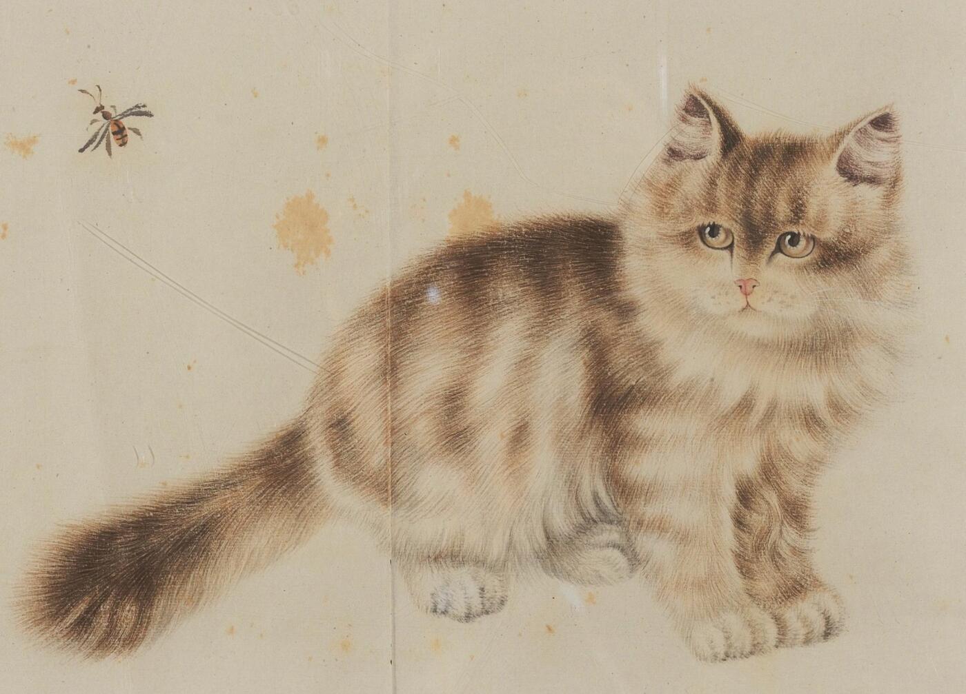 碧月说宝·同一藏家珍藏书画专场 曹克家 猫