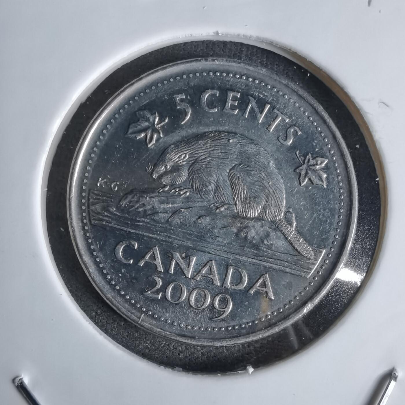 沼泽如烟--第1027场