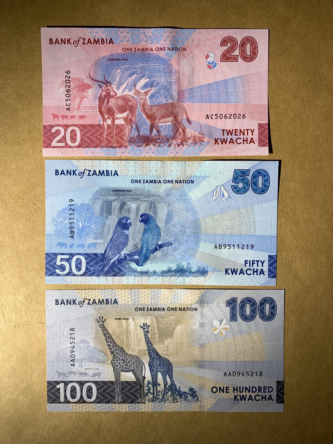 【礼羽收藏】🌏世界钱币拍卖第131期 全新UNC 赞比亚新版3张 含无47号码 100是AA冠