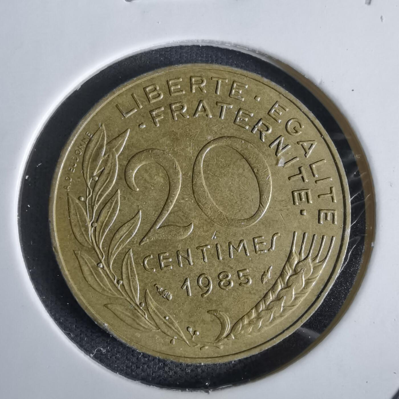 沼泽如烟--第1027场