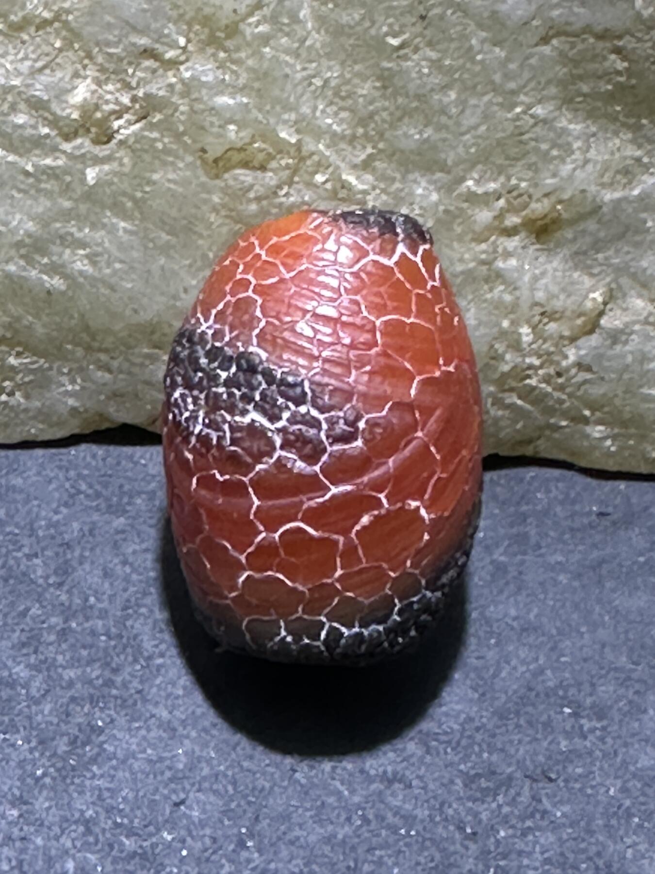 高玉化龙鳞风化纹缠丝玛瑙随形桶珠一颗，