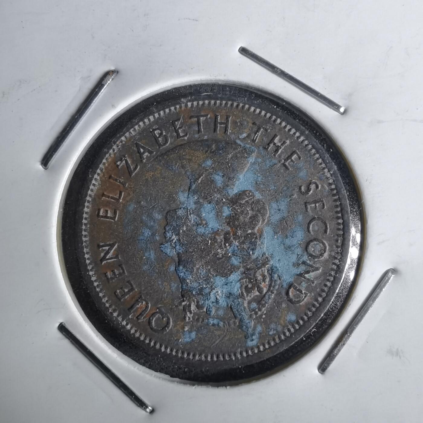 沼泽如烟--第1027场