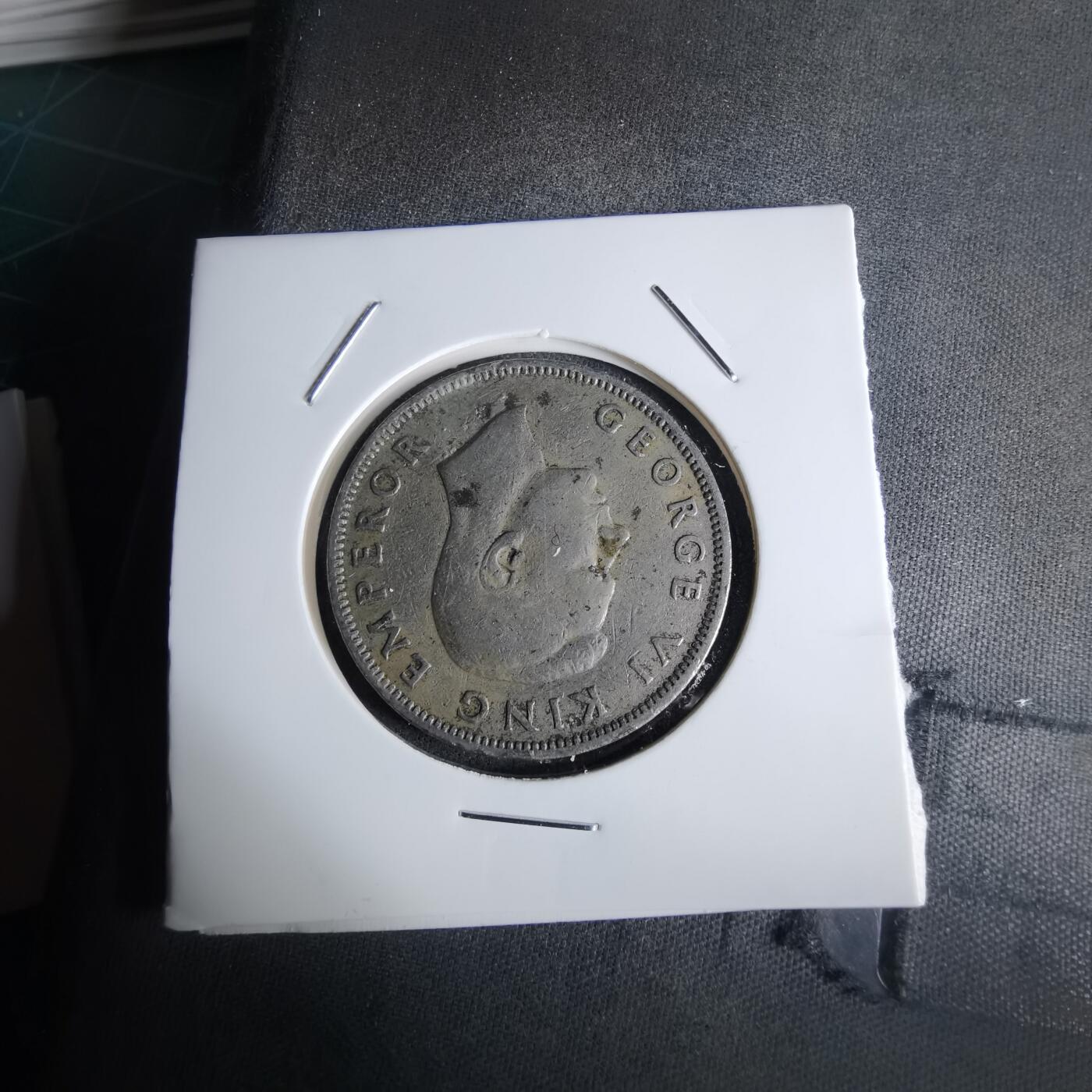 沼泽如烟--第1027场