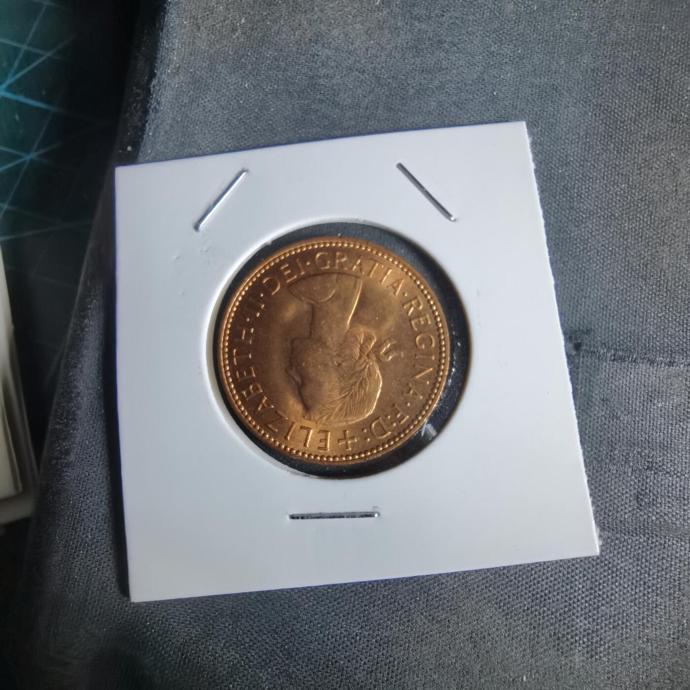 沼泽如烟--第1027场