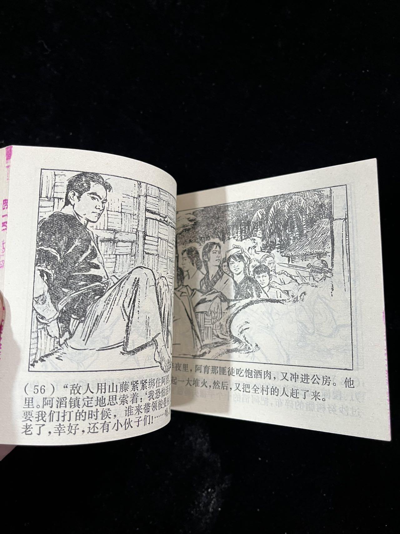 【麦稀奇首场】连环画拍卖 沙努林