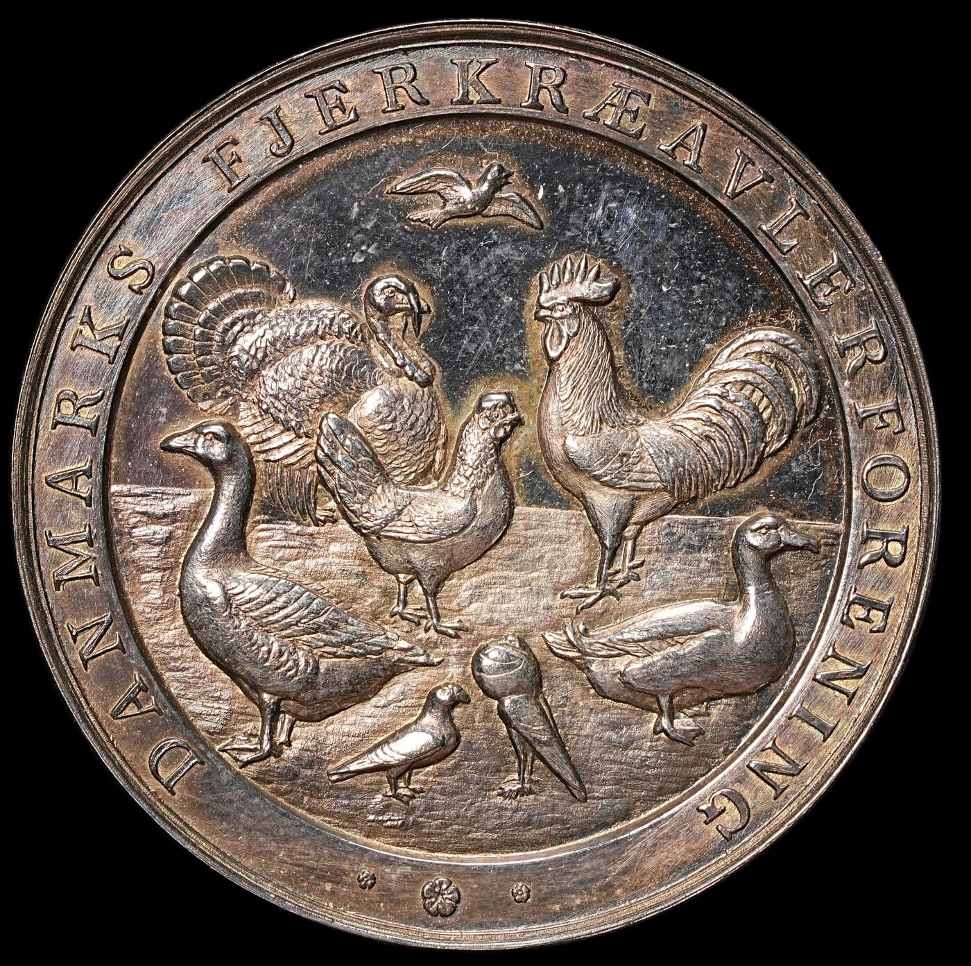 修遠堂世界钱币第108期 丹麦家禽育种协会 1914 年海宁家禽展银质奖章，类镜面底板，43.33mm，34.46g