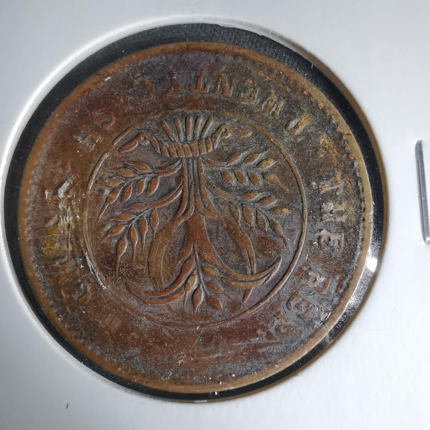 沼泽如烟--第1033场 湖南铜板