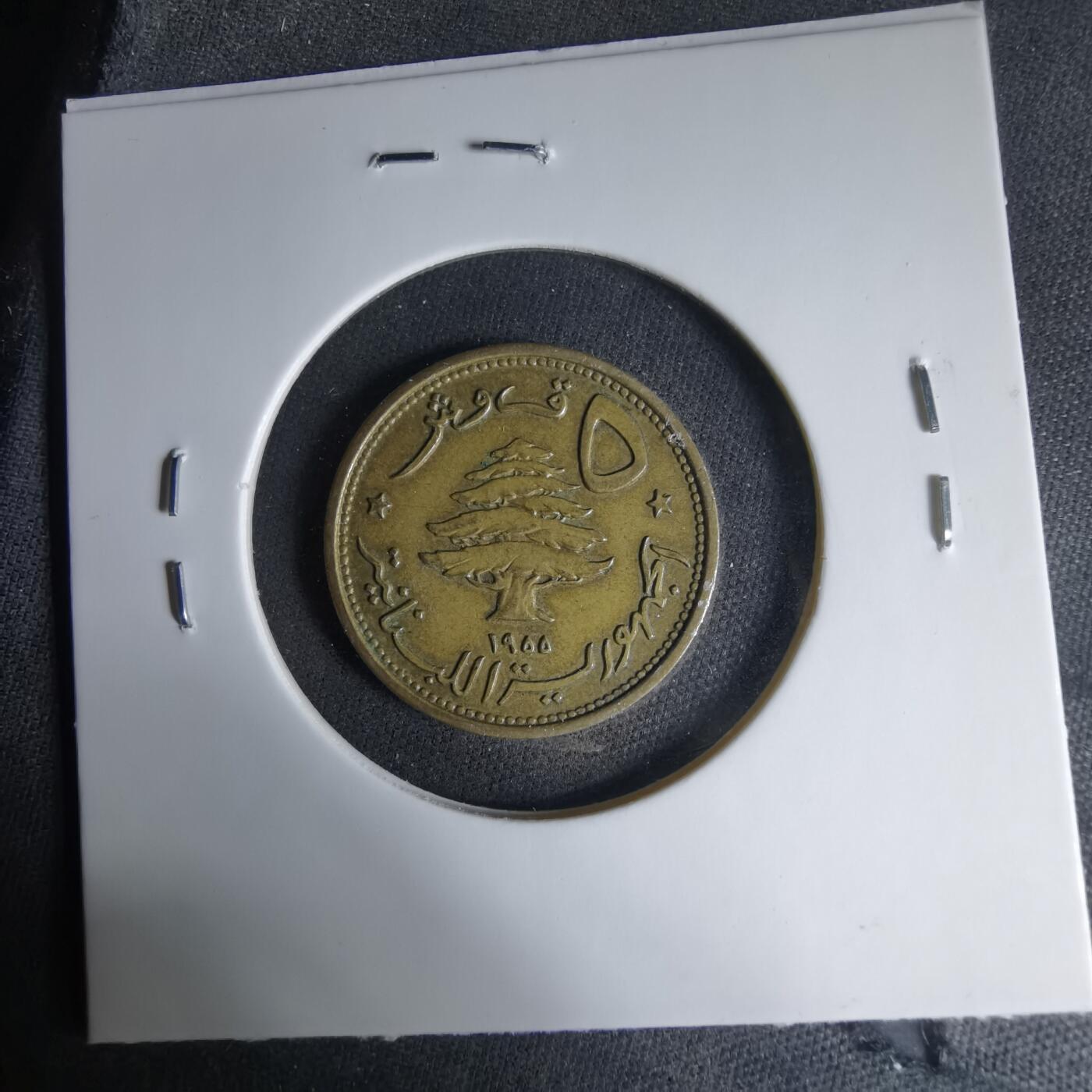 沼泽如烟--第1033场