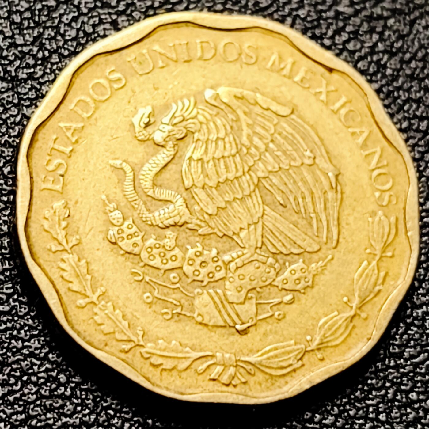 泉币菌-第215场-拍品多 请提前出价（工作最近较忙 发货不及时，望理解） 。