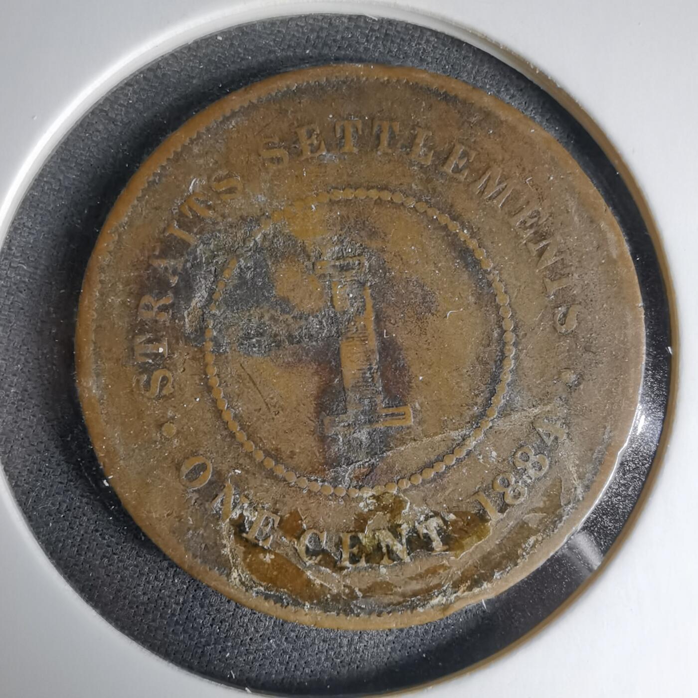 沼泽如烟--第1033场